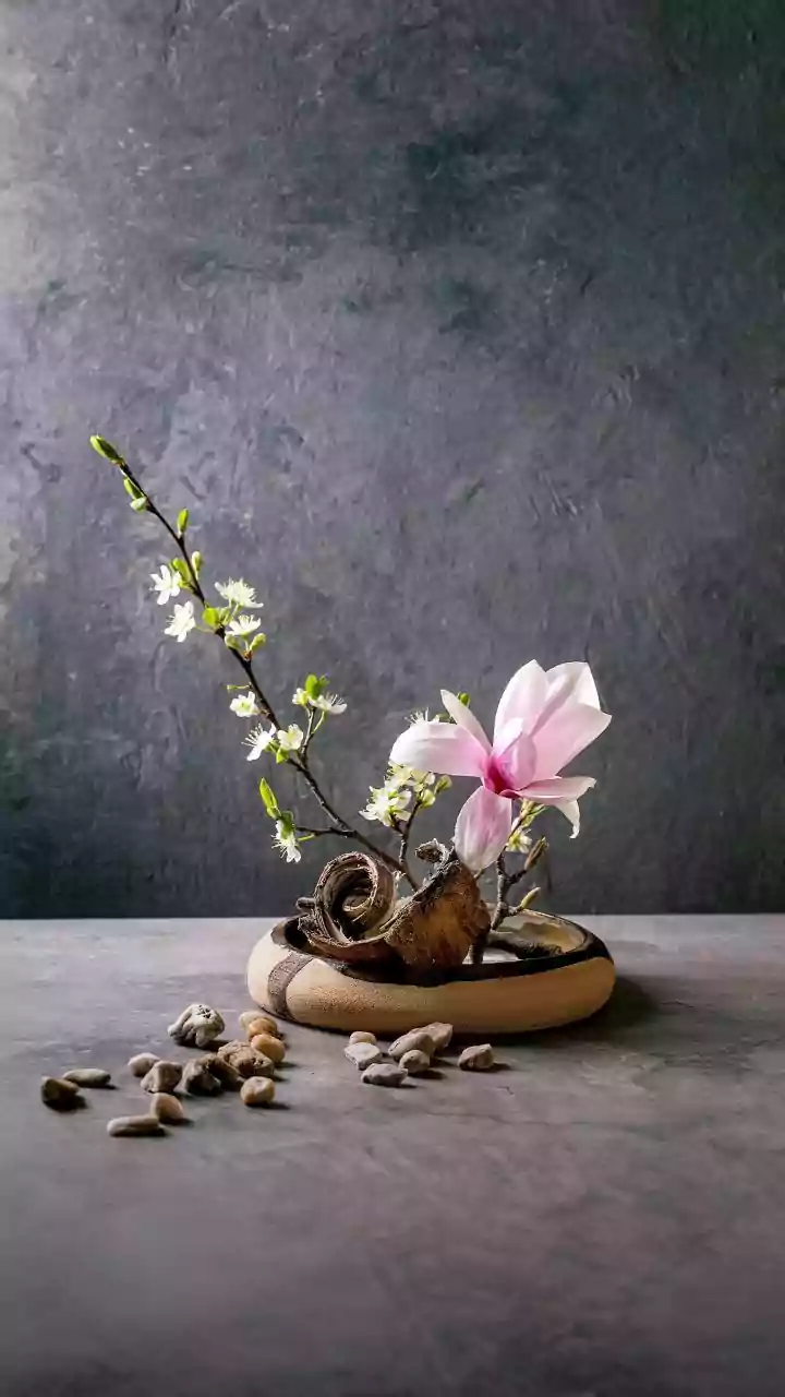 How To Reduce Flower Costs While Making A Traditional Pookalam