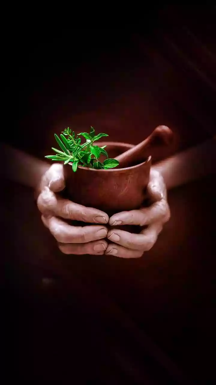 Unveiling Anumāna: Inference in Ayurvedic Health