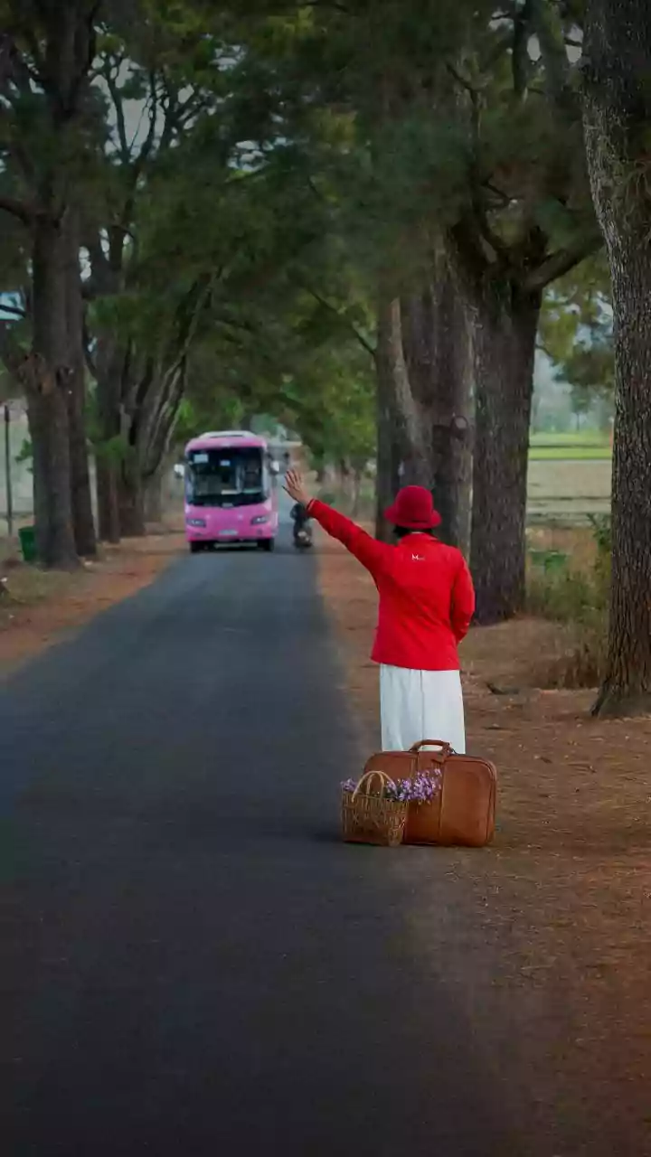Bihar to add 50 pink busses exclusively for women
