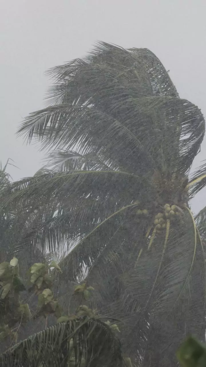 Tamil Nadu steps up for cyclone-hit farmers