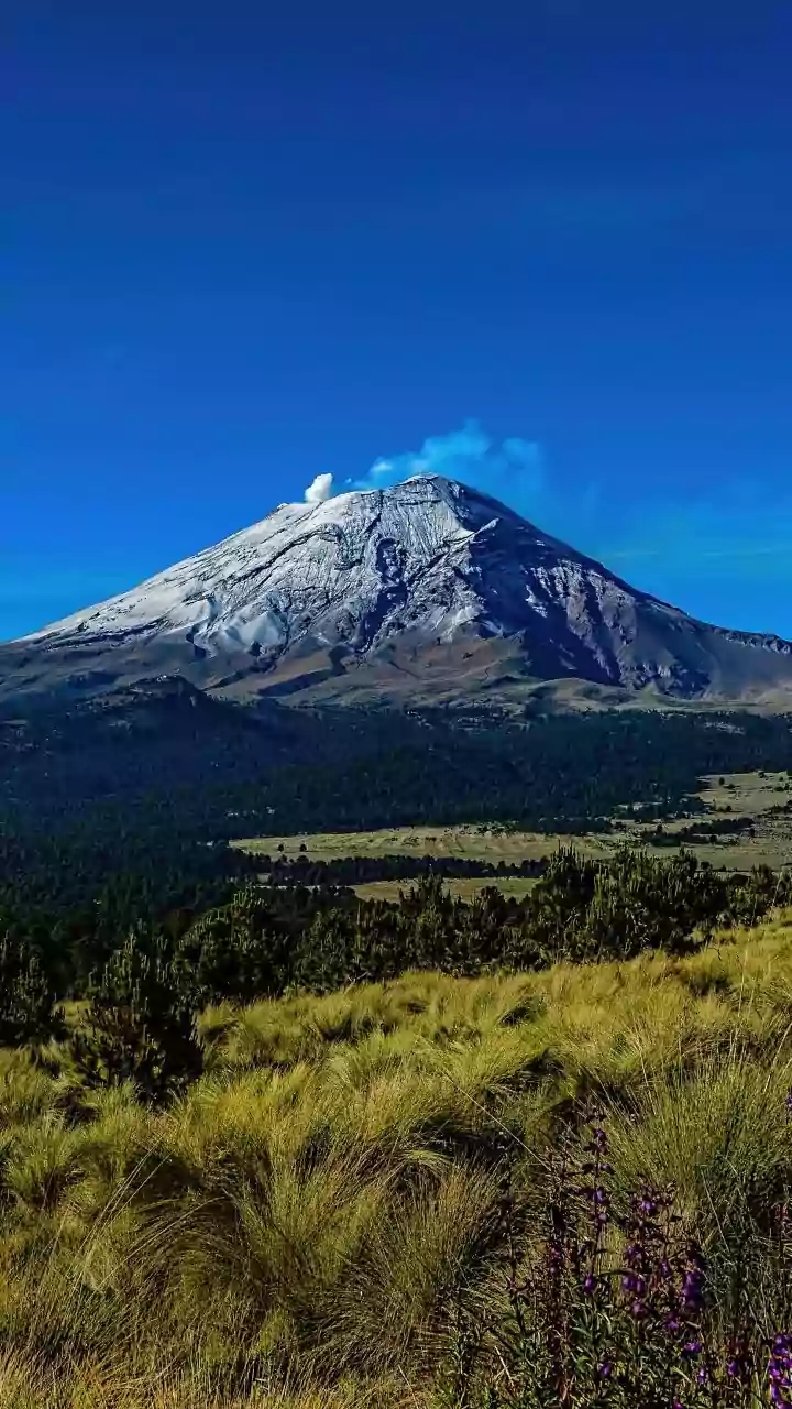 Six Active Volcanoes Show How Tourism and Hazard Management Work Together