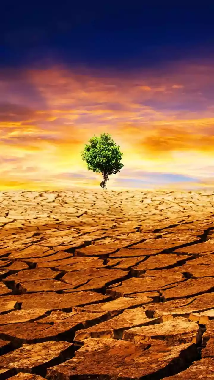 Researchers Caution Against Treating Productivity Gains As Evidence Of Climate Benefits
