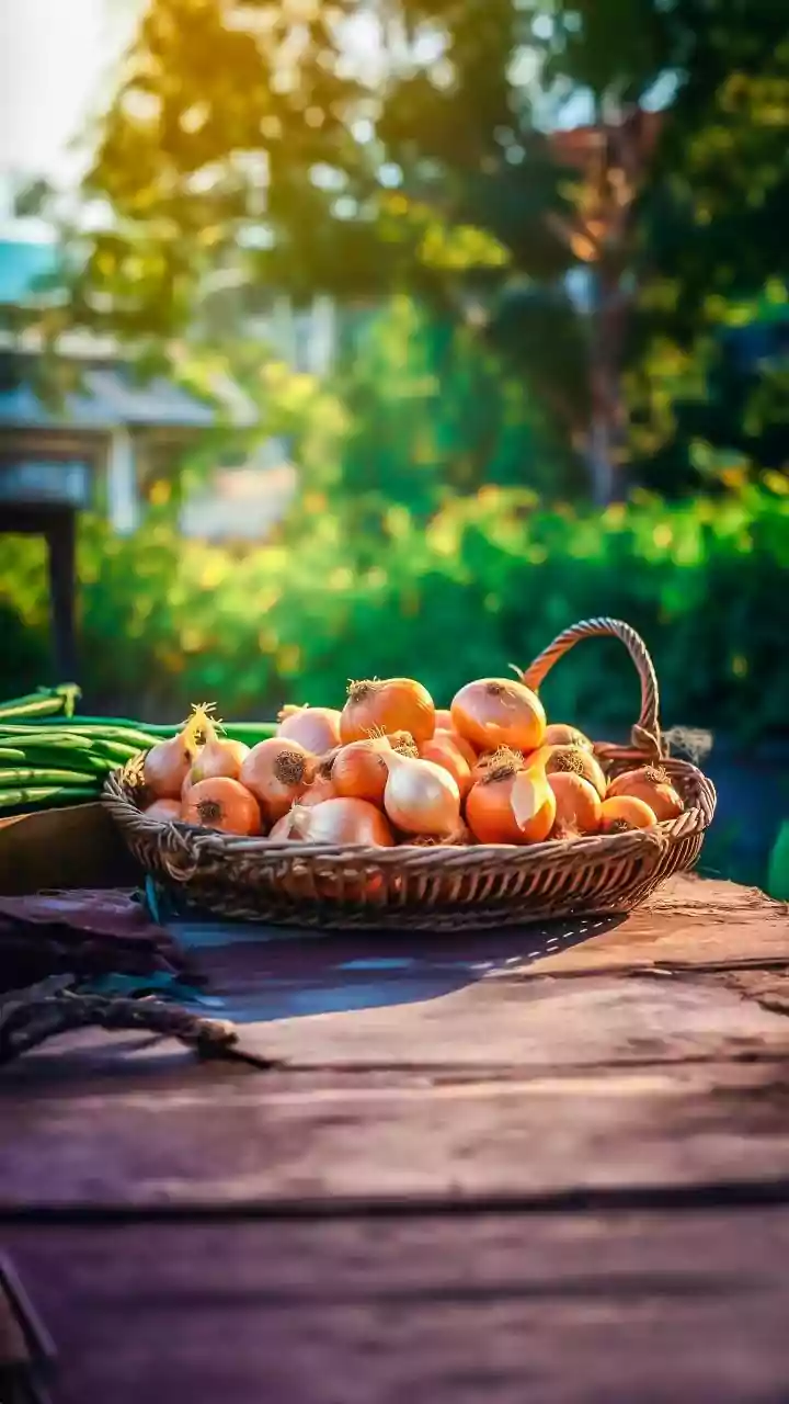 Late-Feb onions sprouting again? Stop the shoots with this storage fix