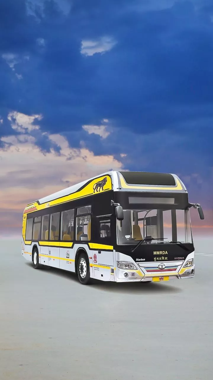 Bihar CM Nitish Kumar asks officials to work for public welfare with full dedication