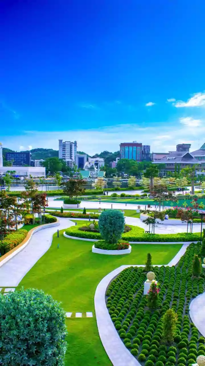 Soil Microbe Restoration: How To Help Urban Gardens Recover From Rainy Season Waterlogging