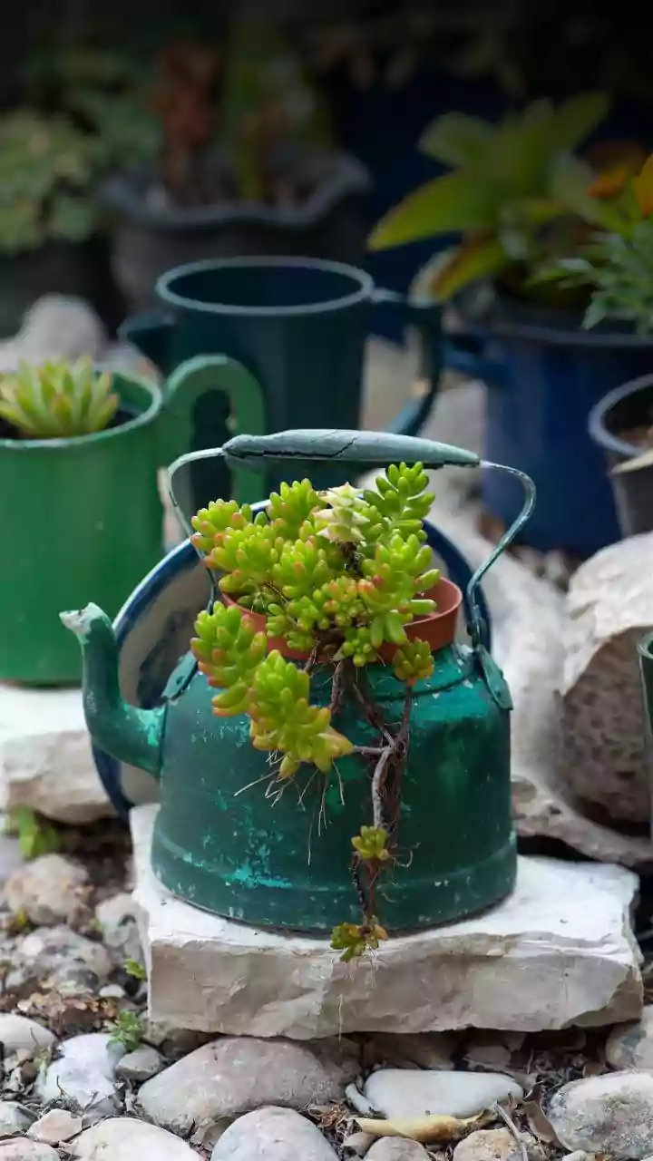 Check for Drainage Blockage Before Blaming the Container Size