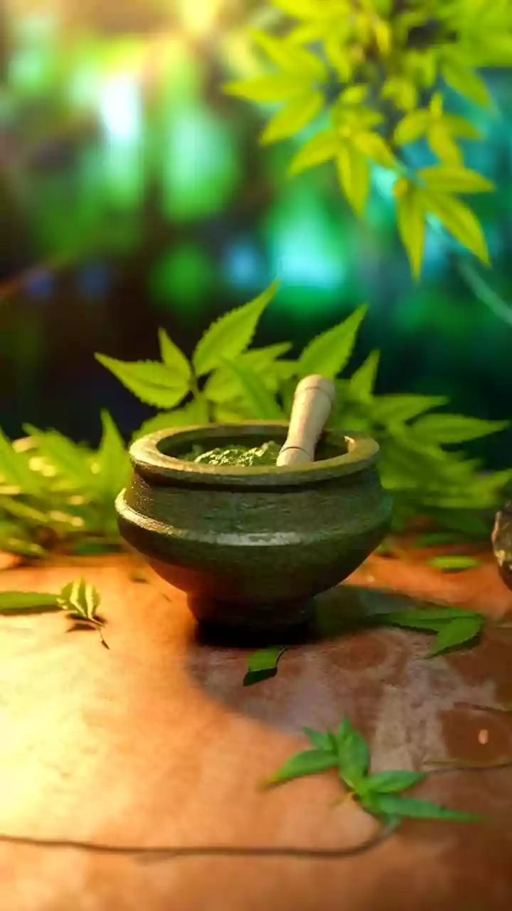 Traditional Wisdom Takes Center Stage at Index Group's Ayurvedic College