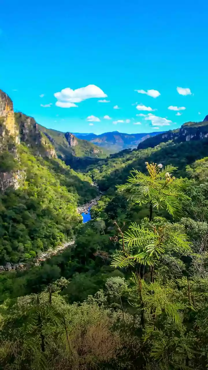 Chapada dos Veadeiros inaugura trilha noturna pelos Saltos