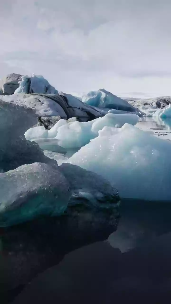 Why Ice Floats: And Other Scientific Wonders Hidden in Plain Sight