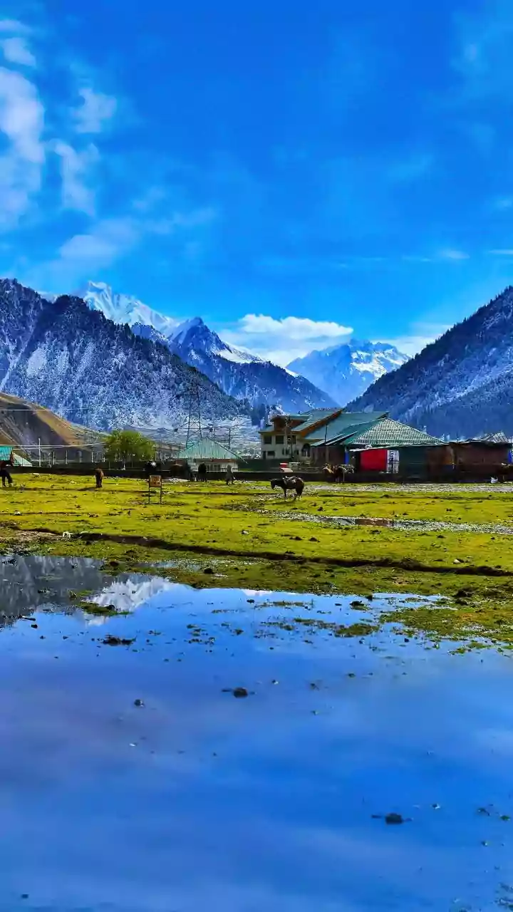Troops Halt Infiltration in Jammu and Kashmir