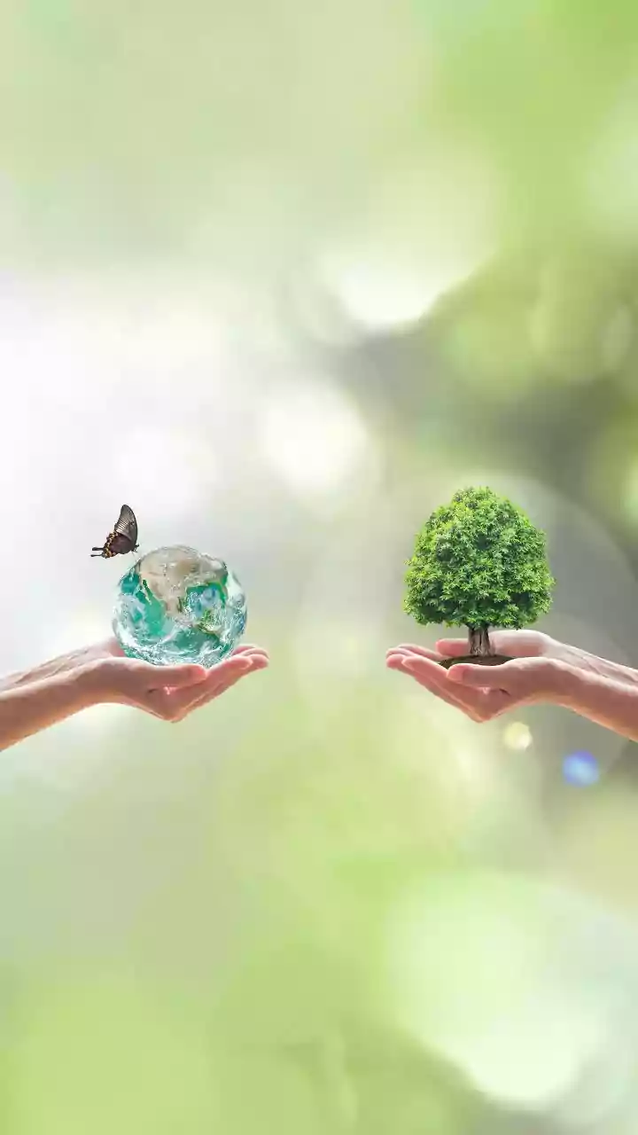 Eco-Conscious Wealth Building: Sovereign Green Bonds Deliver Fixed Returns For Young Investors