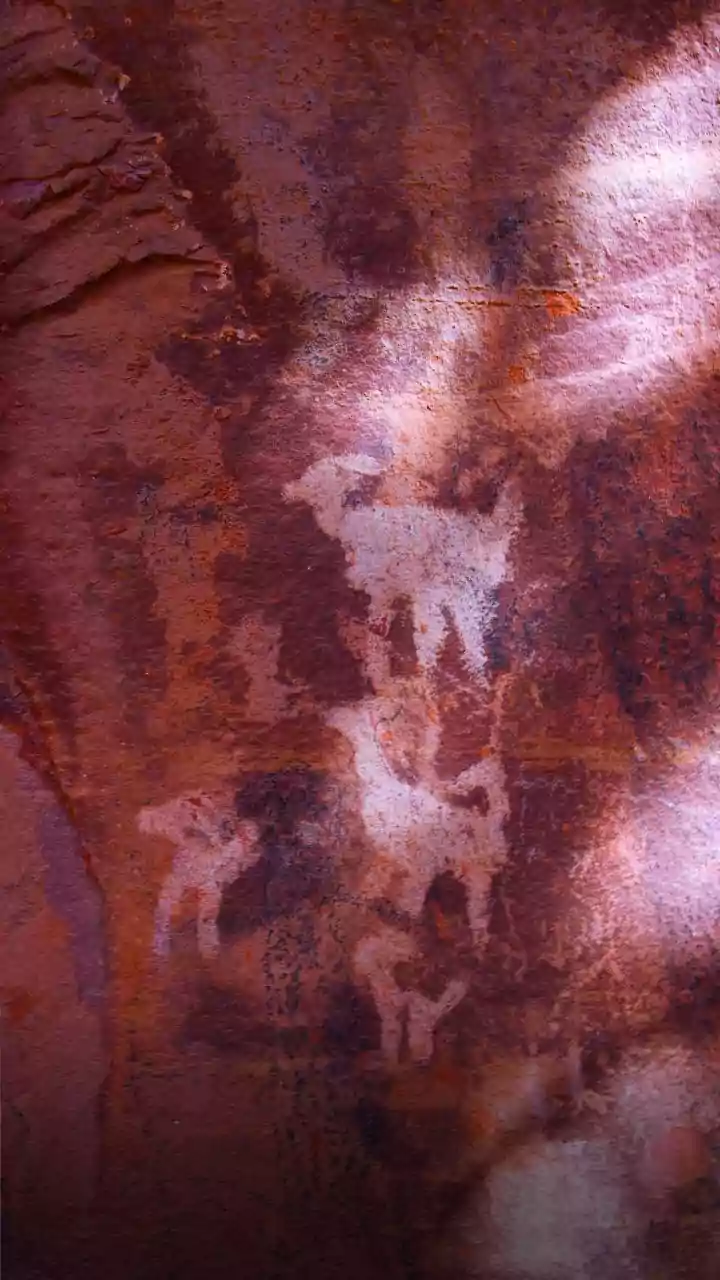 Ancient DNA: The Secret to Longevity