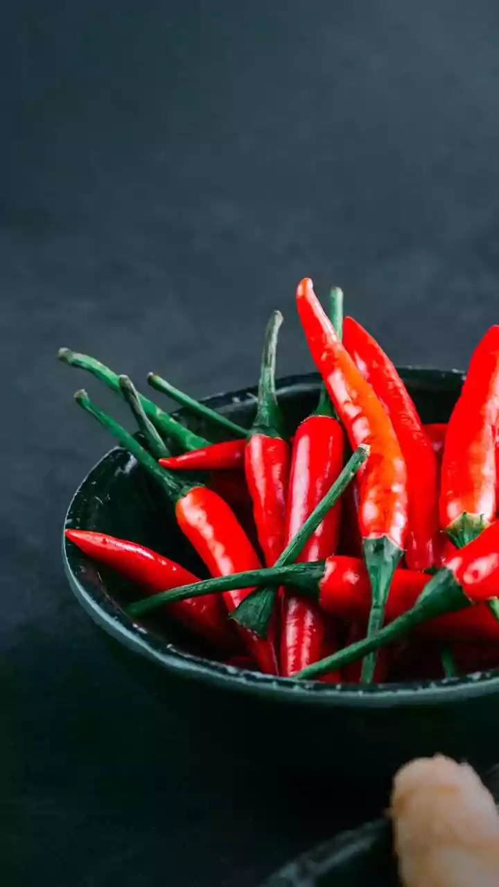 Inside Growing Thai Chillies In Pots: Choosing A Pot With Drainage Holes