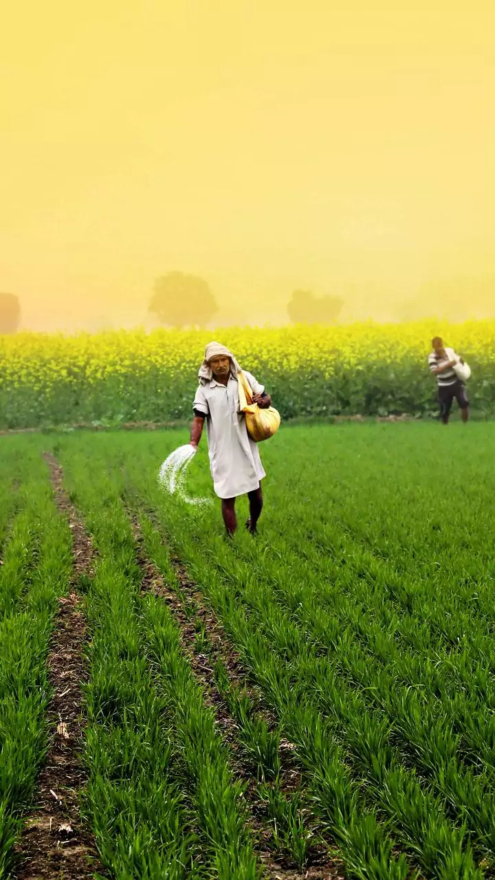 Fertiliser industry seeks duty cuts, subsidy reforms in Budget