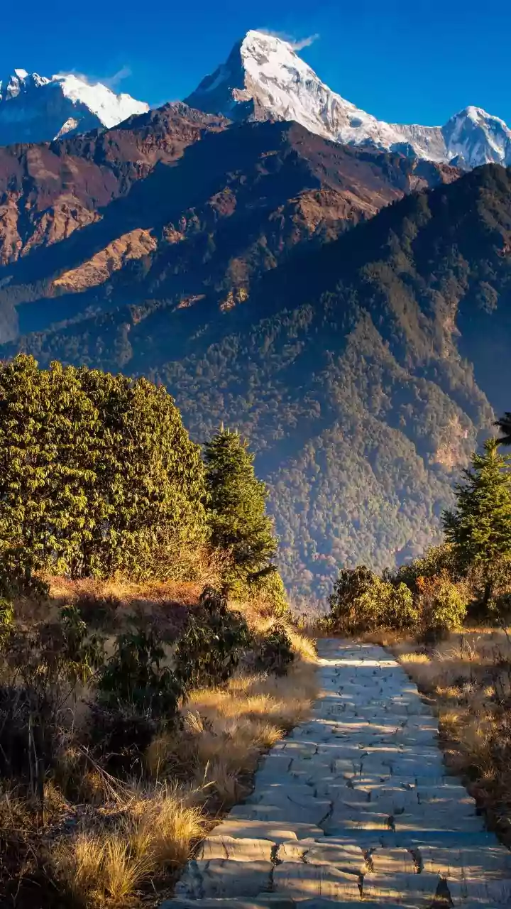 Himalayan moderate -level treks that you can take even at your 40s