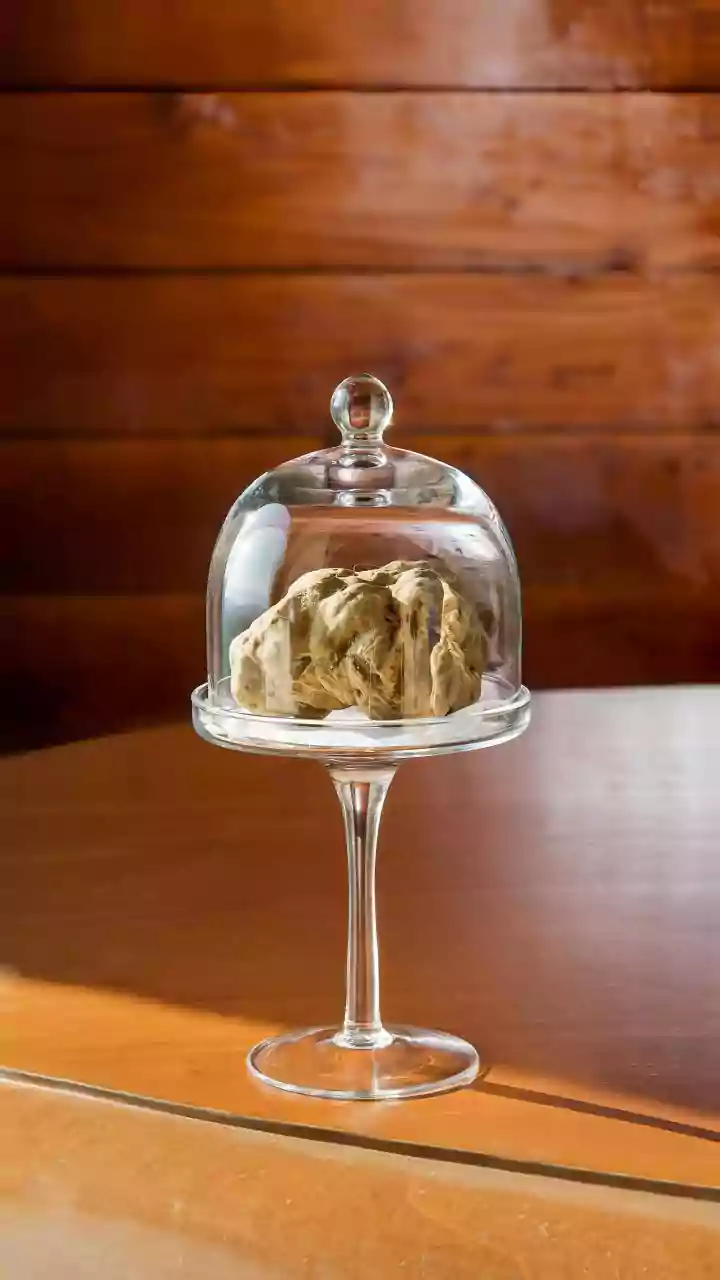 Use glass cloches for that much-awaited home decor makeover