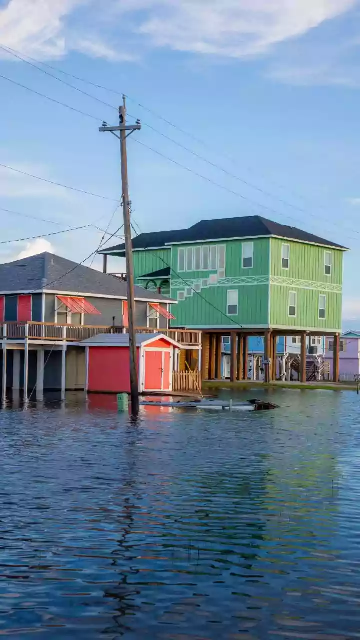 What New Environmental Research Says About Repairing Flooded Soil Bacteria In Cities