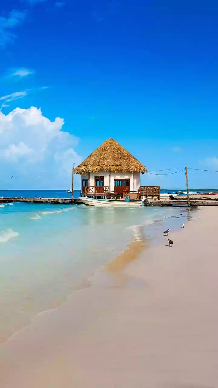 How To Book Government-Approved Eco-Resorts In Lakshadweep For Your Late Autumn Coastal Retreat