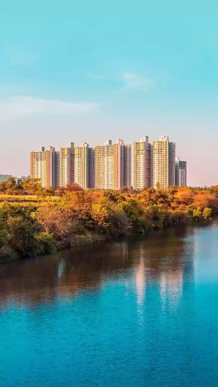 Ahmedabad's 'Boring' Charm: A Sarcastic Ode to Safety and Serenity