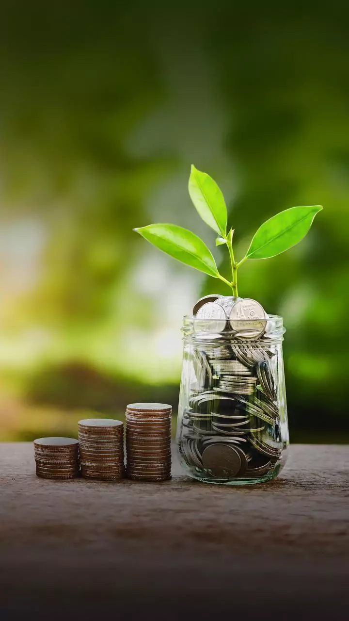 IEPFA, Sebi to hold financial literacy camp in Bengaluru on Jan 3