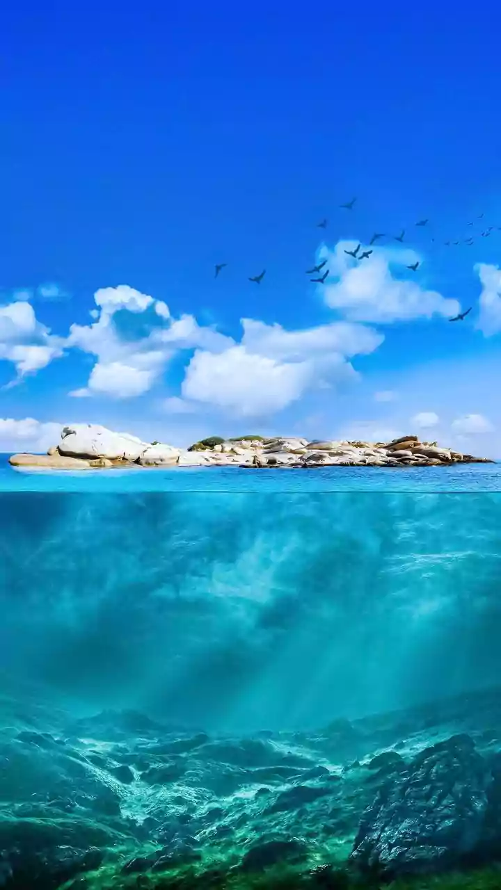 Beyond a textbook animation, Indian Ocean Seafloor Spreading highlights future ocean-observatory design and hazard research