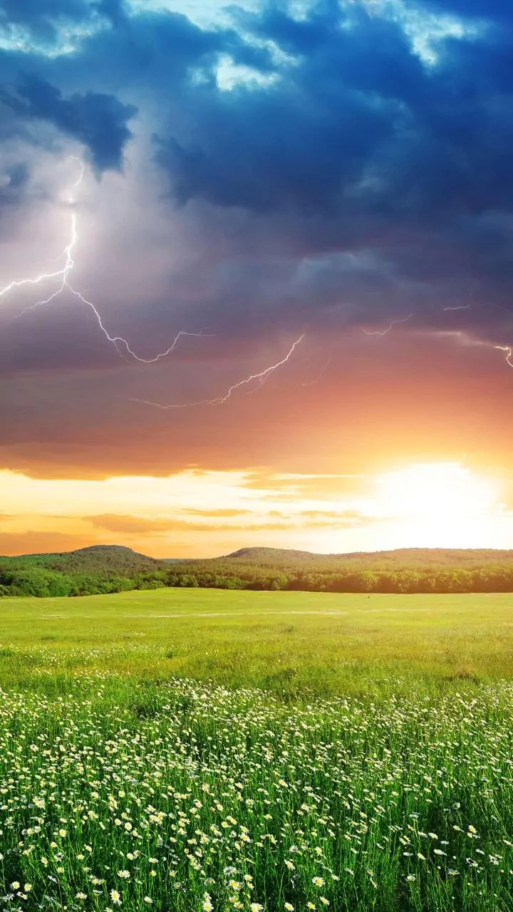 The El Niño-Monsoon Relationship Explained as Rainfall Remains Weak