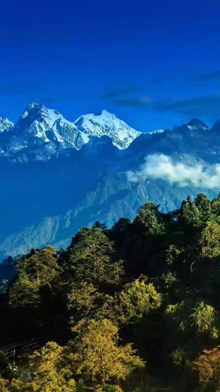 Uttarakhand Forest Cover Shrinks: A Growing Concern