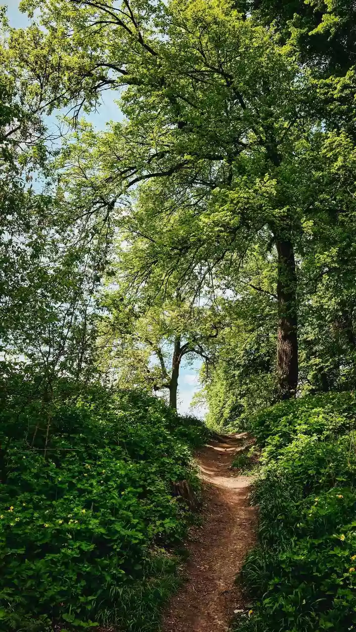 Trail Rules Carry More Meaning When Rangers Explain Their Purpose