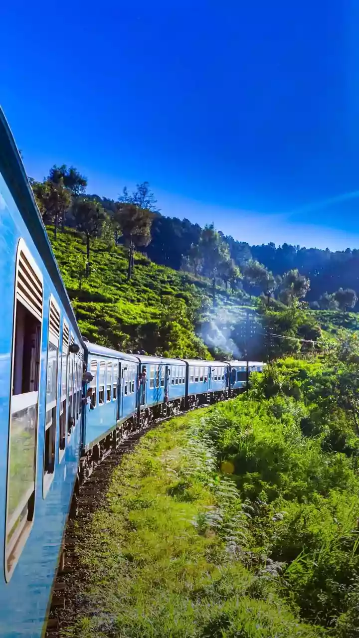 What Southern Railway's August Special Train Schedule Means for Rail Travellers