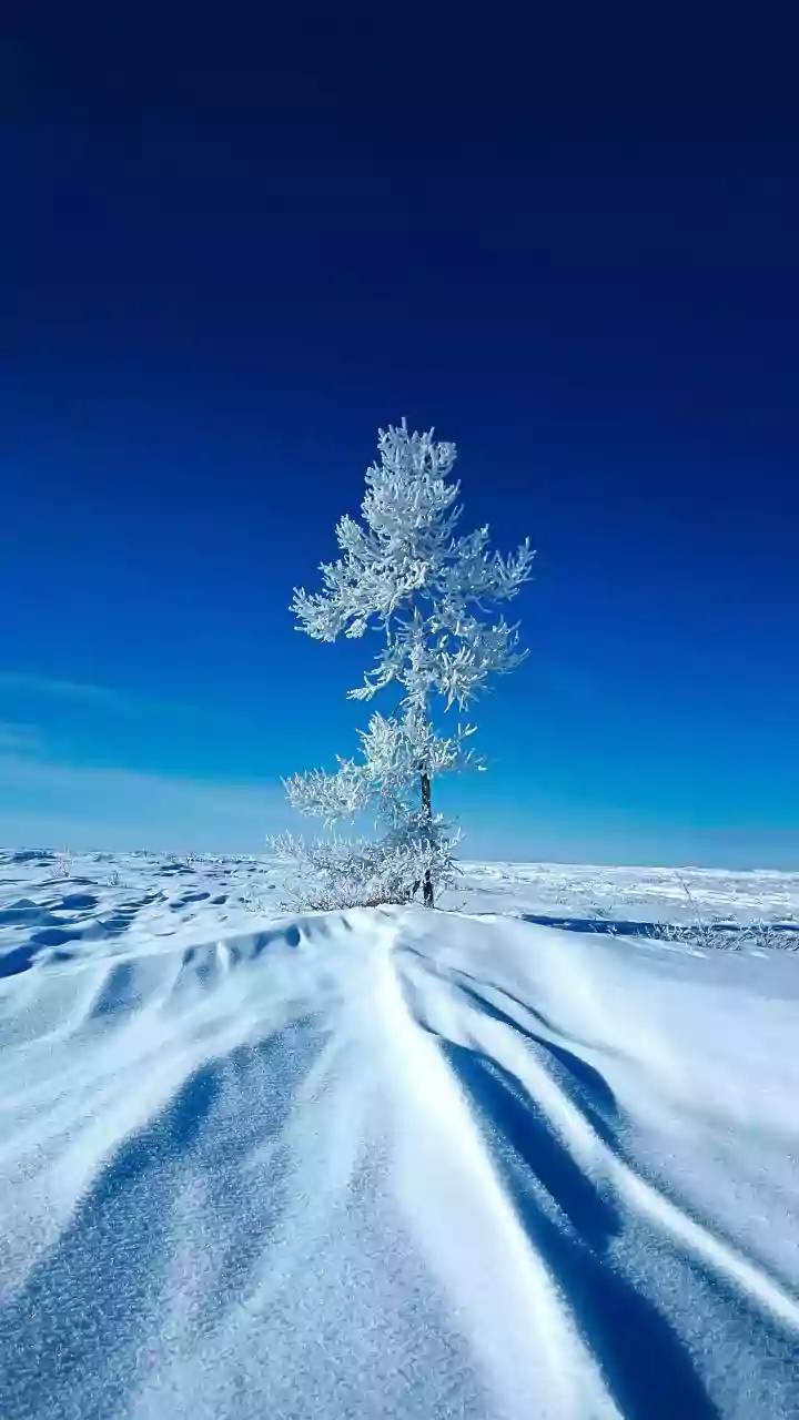 Which Is Coldest City In The world In 2025? Here's A look At Yakutsk In Russia