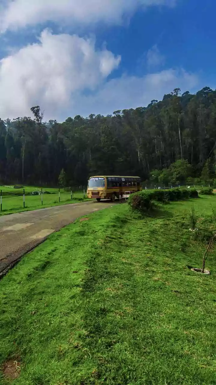 One killed, 49 injured as tourist bus overturns in Kerala's Kottayam