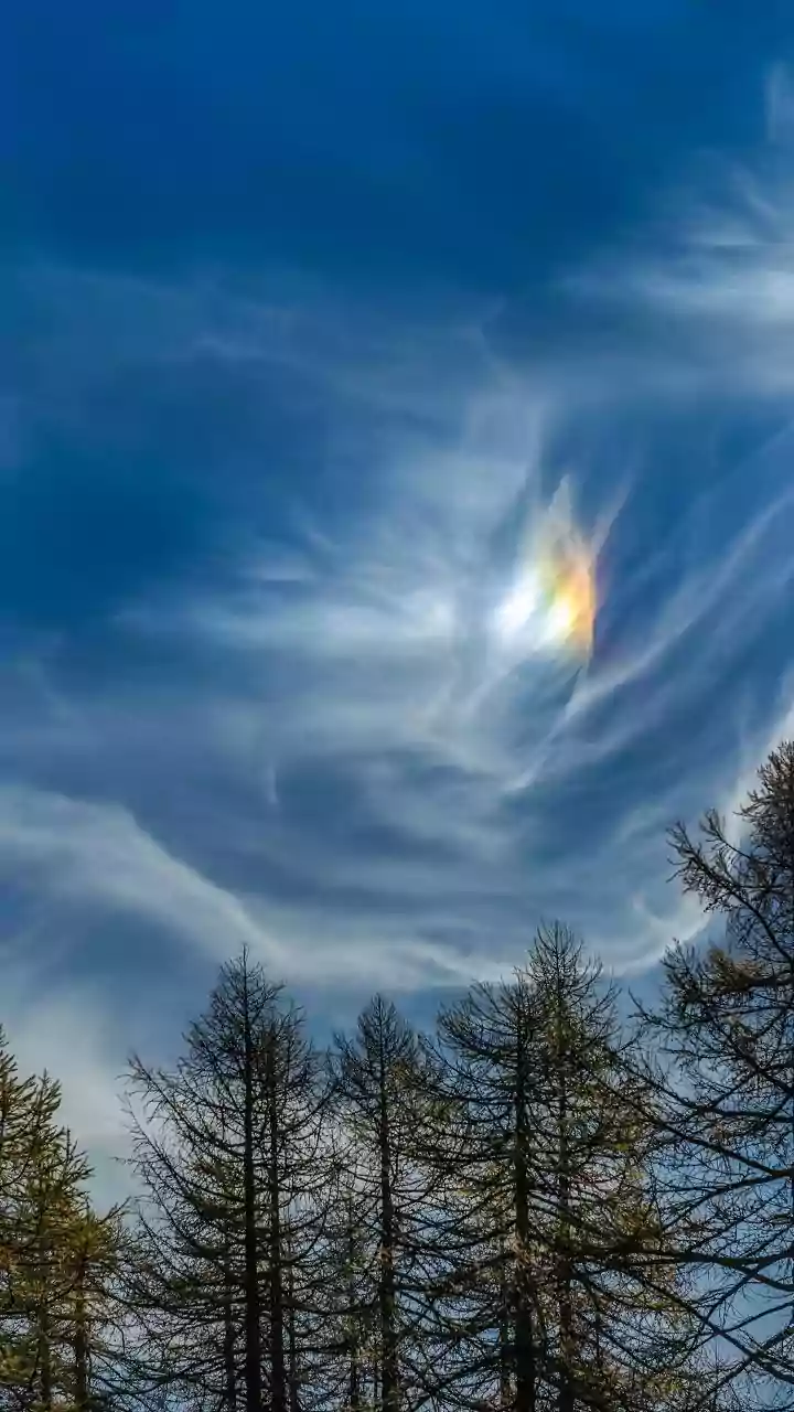 A Rare Pyrocumulonimbus Put France's Wildfire Intensity Into Scientific Focus