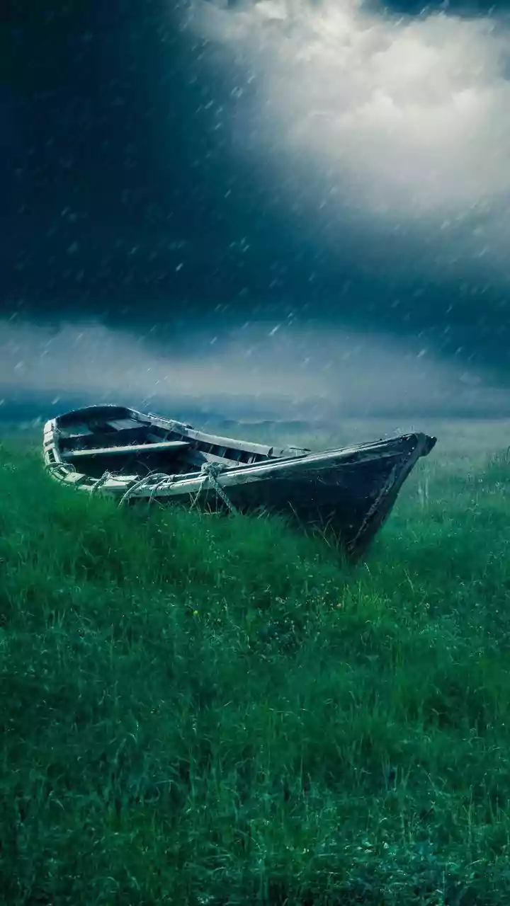 Bay of Bengal depression set to intensify with rain fog and cold alerts