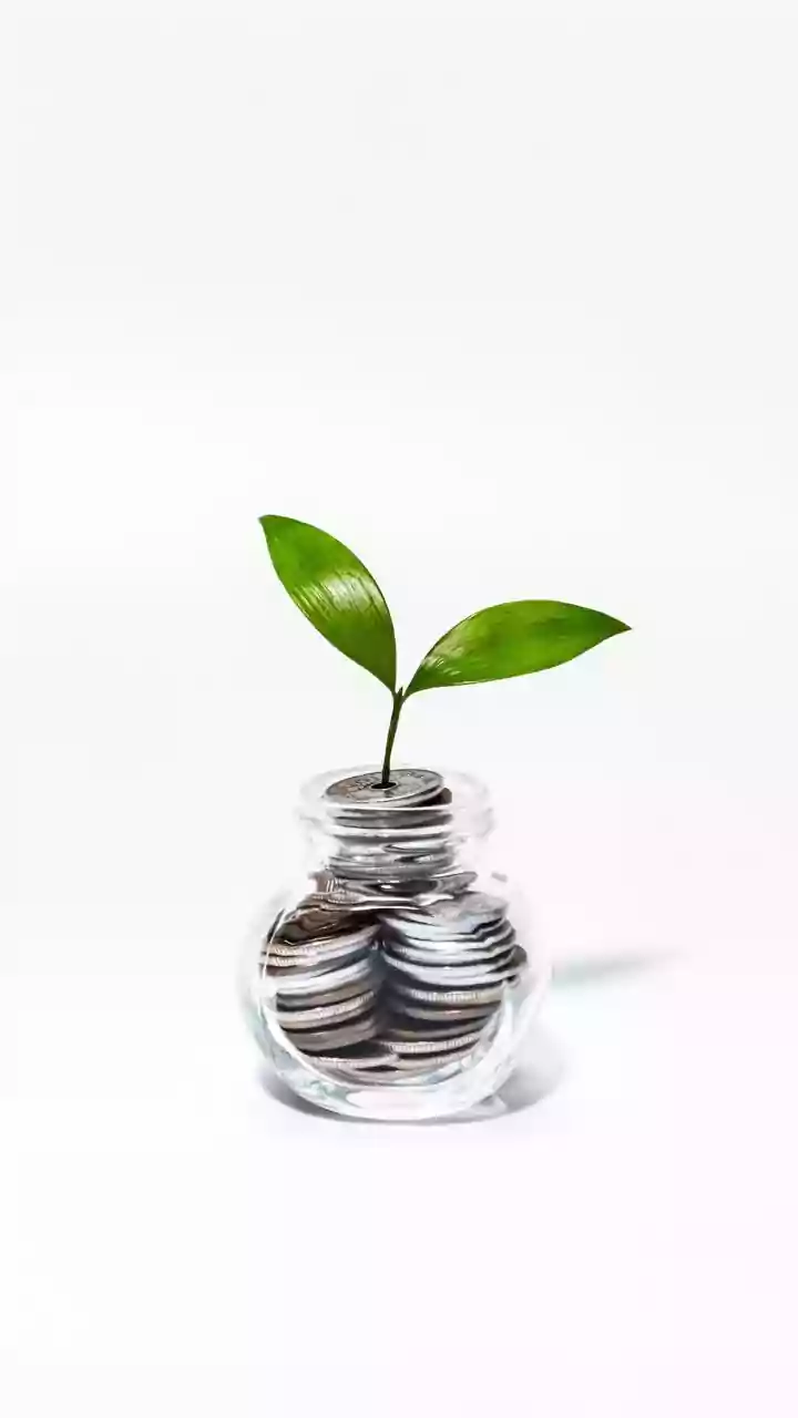 Unveiling Company Health: The Dividend Yield