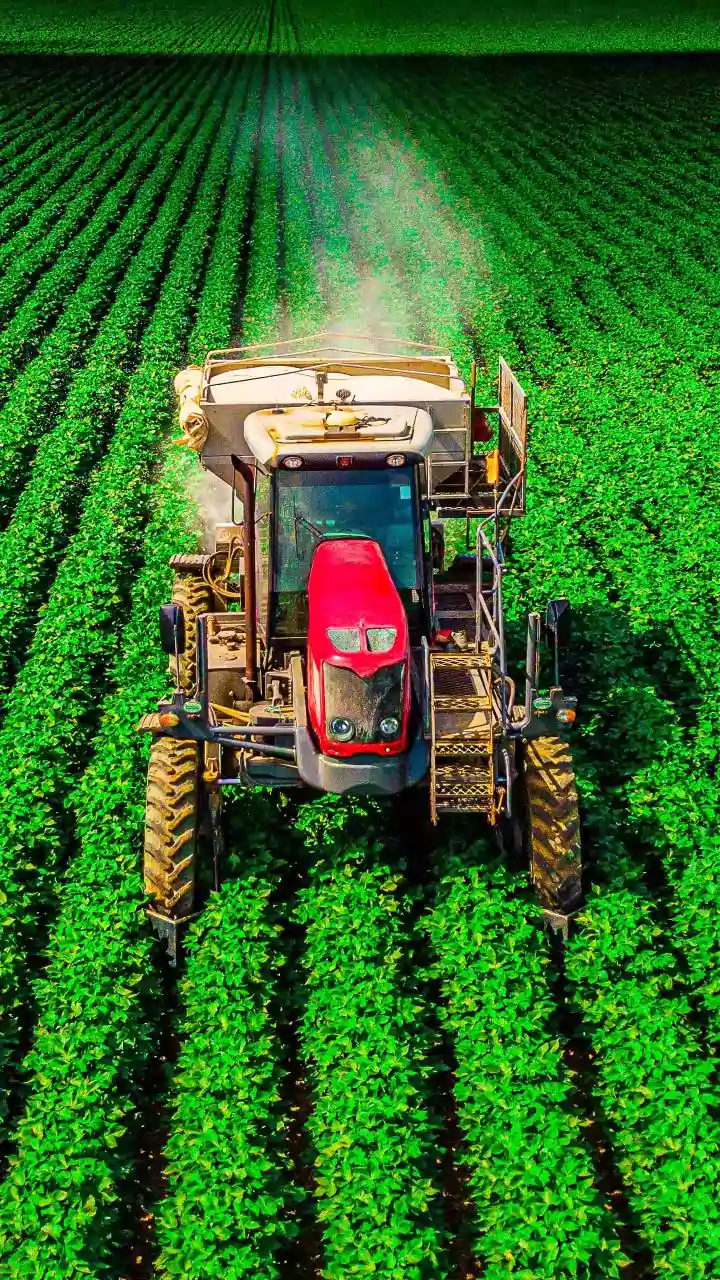 Haryana: Oppn parties allege farmers being stamped 'like criminals' due to fertiliser shortage