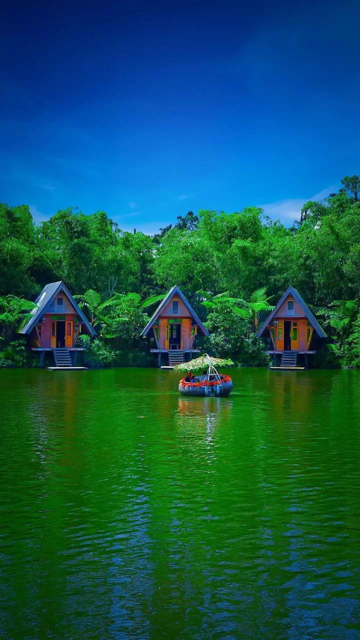 Post-Monsoon Wayanad Guide: Budget Homestays And Bamboo Rafting Trips From Bengaluru