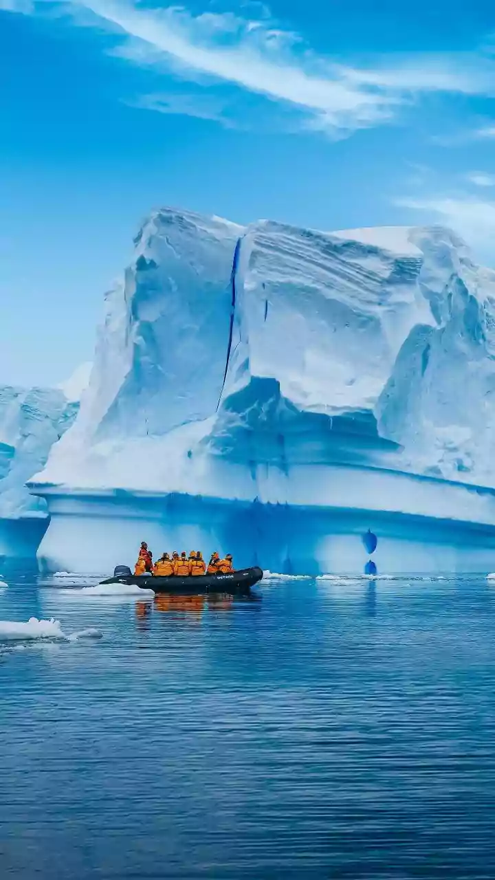WHO confirms three suspected Hantavirus-related deaths on polar cruise: Symptoms, causes and prevention
