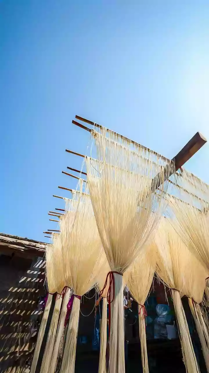 India's Malaria Victory: How Clean Surroundings Are Our Strongest Defense