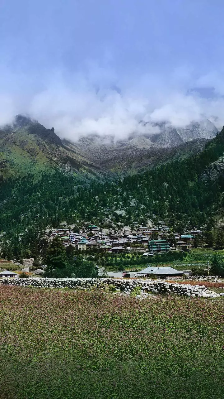 Bihar villagers push back on 'vote-for-money' refunds