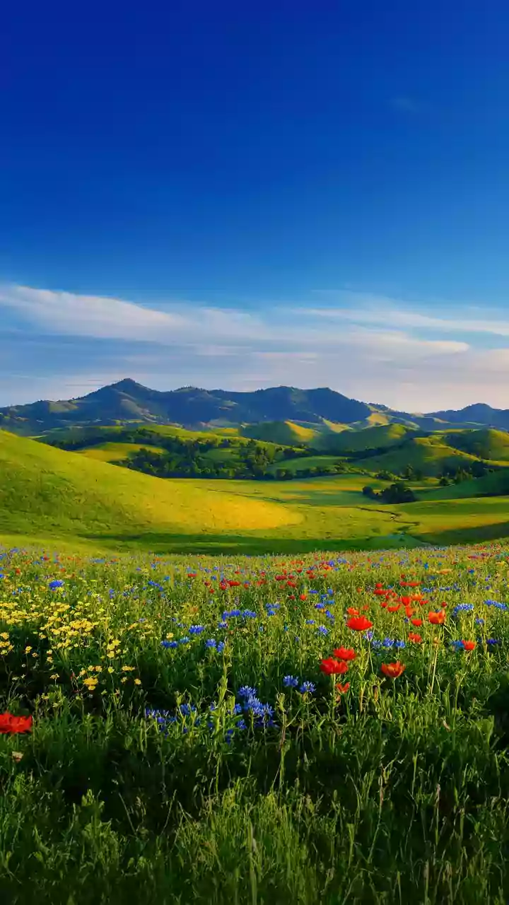 India's August Getaways For Green Views And Less Rain