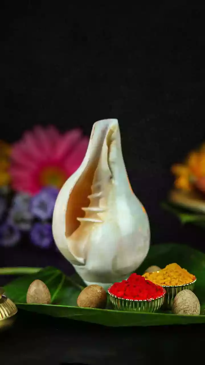 Sacred Vedic Rituals To Perform On 1st January 2026 For Prosperity And Success