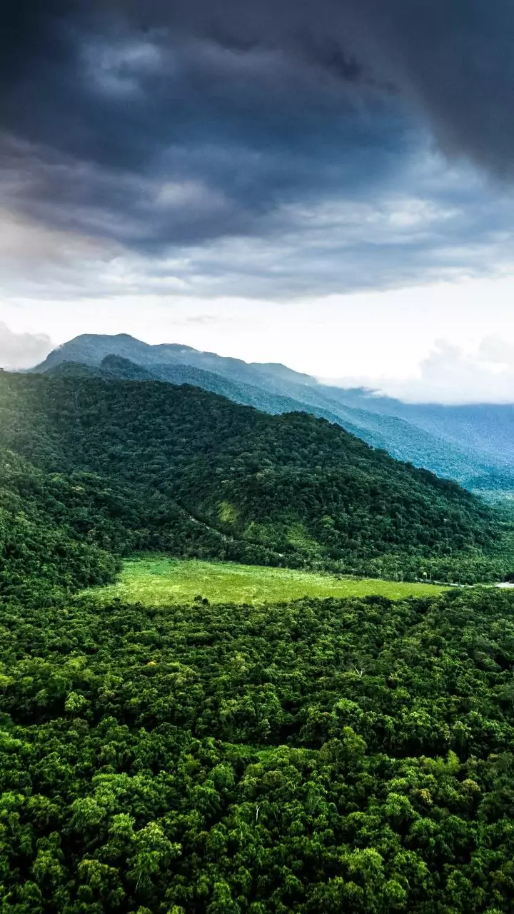 Chhattisgarh: 3 Naxalites, including woman, killed in Sukma encounter