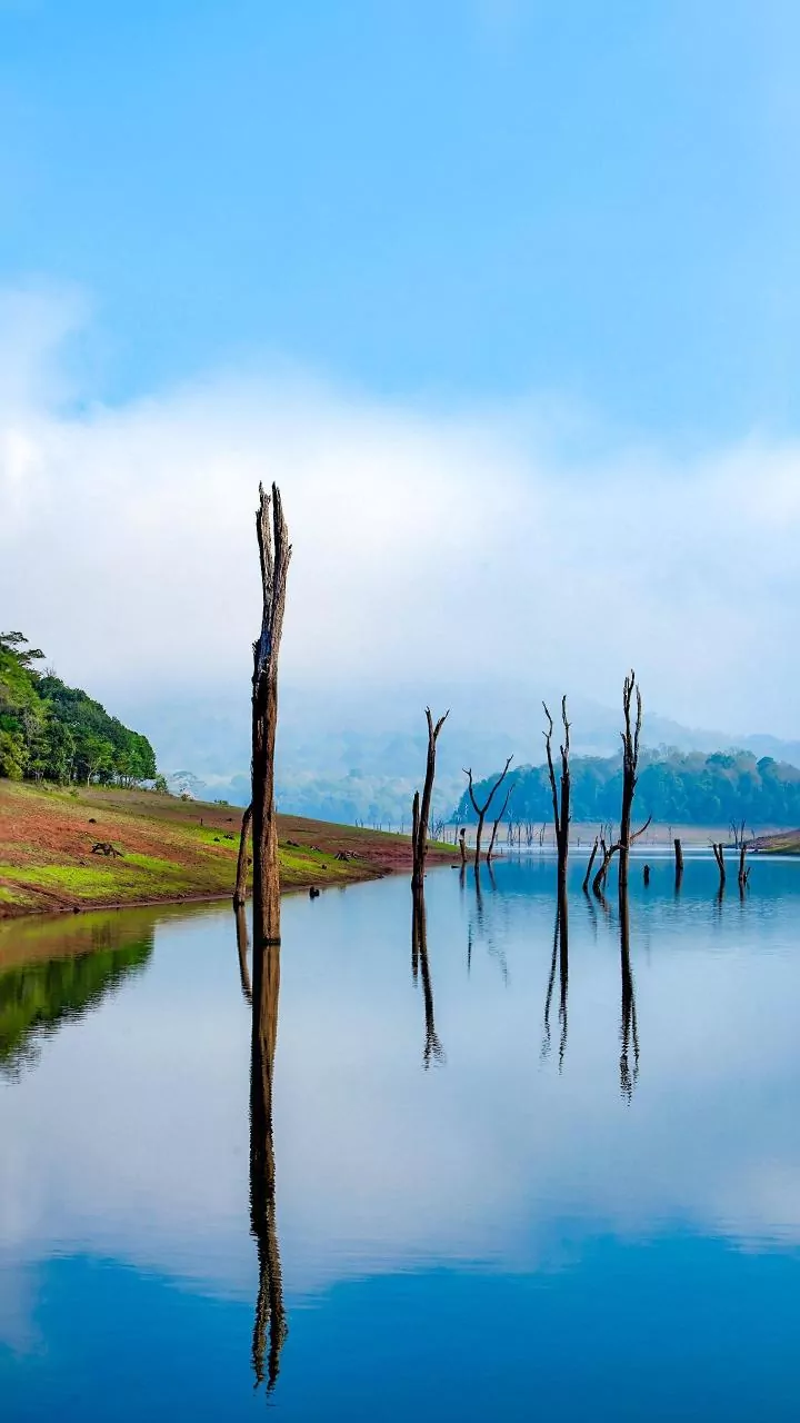 Wayananad Hotel Bookings Accelerate as Rainy-Season Travel Expands