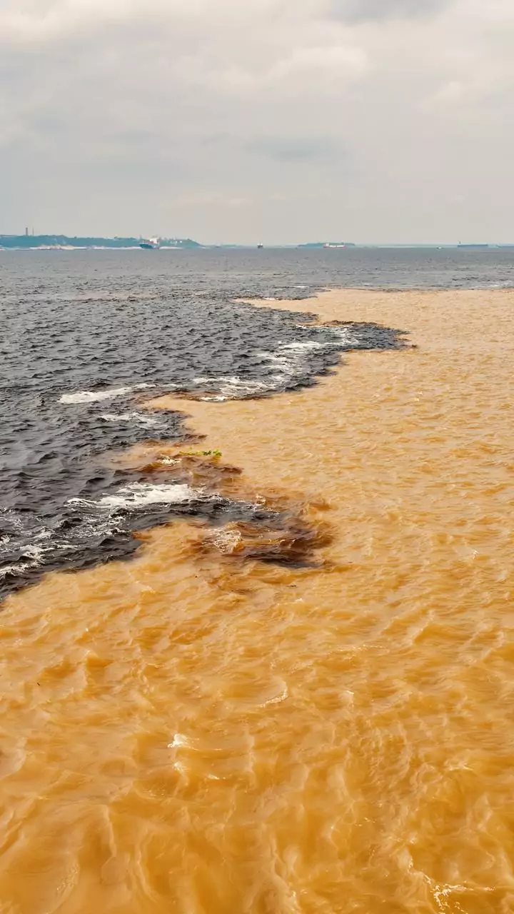 Water contamination in Indore: HC asks administration to preserve original records