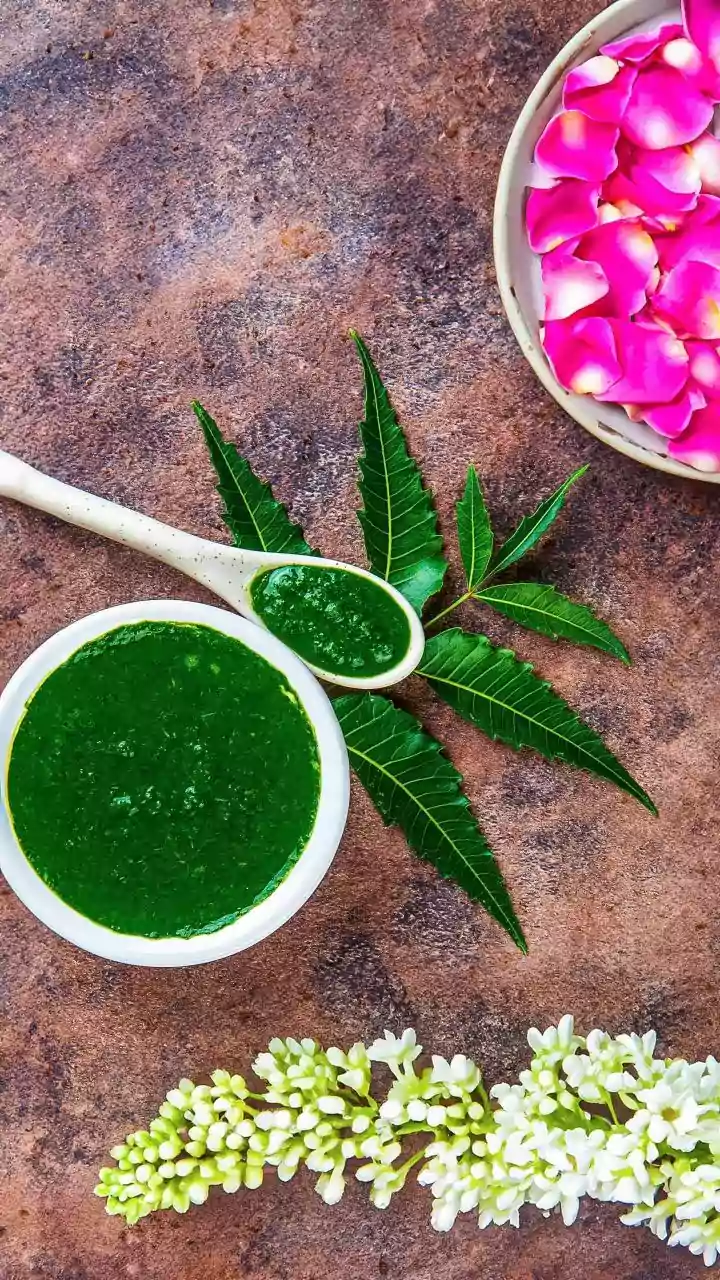Add Powdered Neem Cake To Soil To Protect Delicate Houseplants