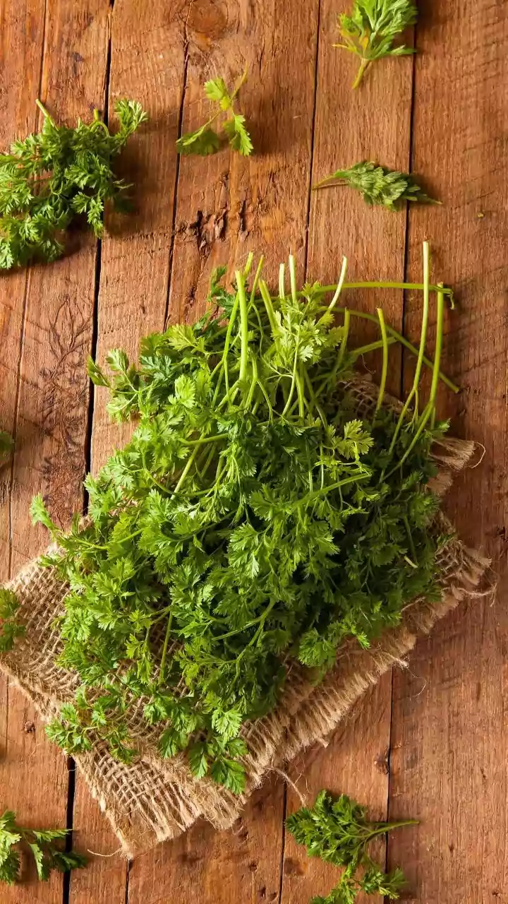 Monsoon Food Inflation: Why Coriander Prices Are Rising Sharply