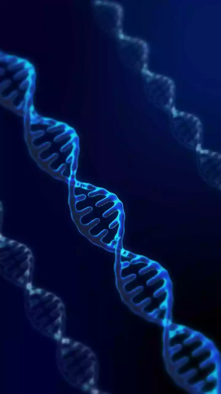 Mark Zuckerberg and Priscilla Chan's Biohub launches AI for medicines
