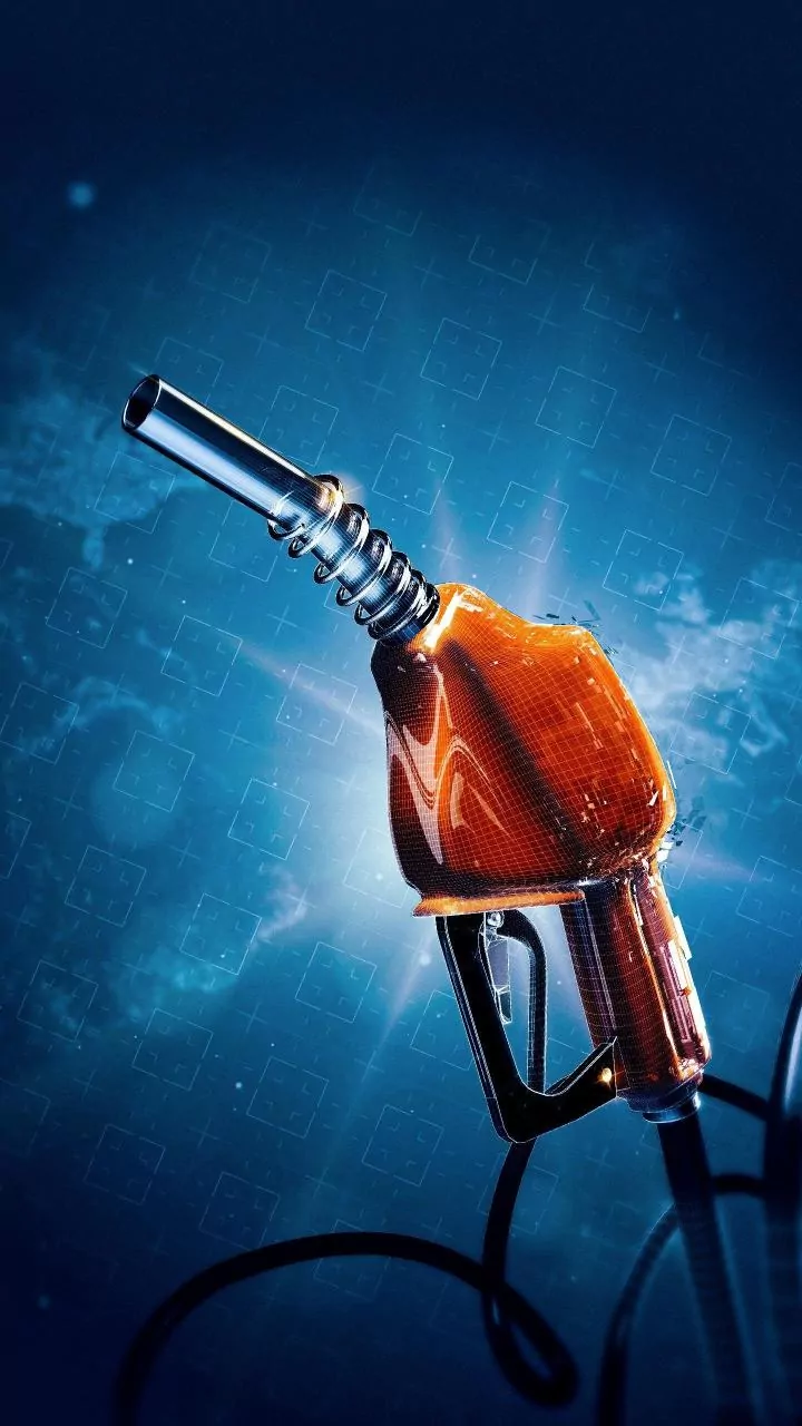 E20 Became Standard, But E25 May Take Time