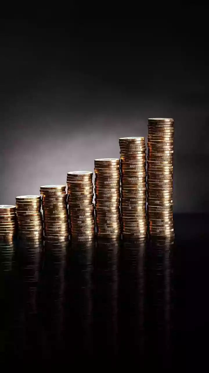 Equity mutual fund inflows rise 21% in November; debt fund flows moderate