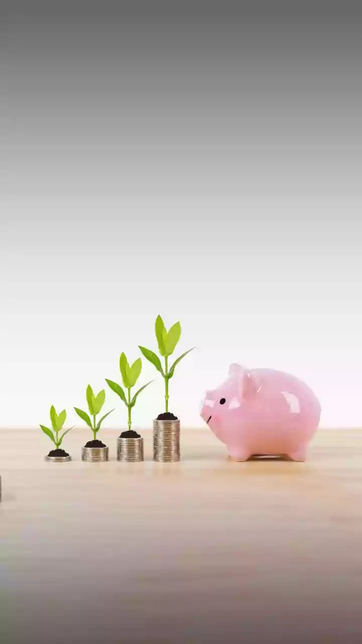 Investing in SIP: How returns grow over 10-20 years